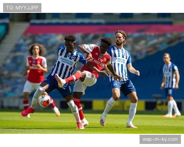 弗赖堡迎战博洛尼亚 德甲黑马与意甲新军的遭遇战